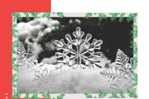 Camas Quarterly - December 2023