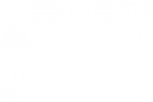 Family tree bracket 