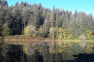 Fallen Leaf Lake