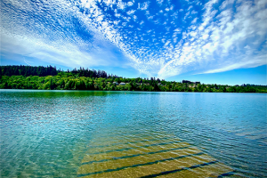 Lacamas Lake Treatment Scheduled for Summer 2024