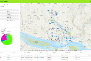 Development Map