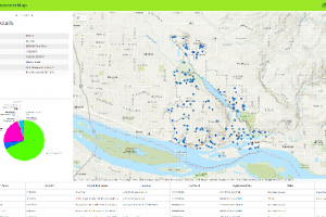 Development Map