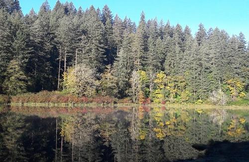 Fallen Leaf Lake