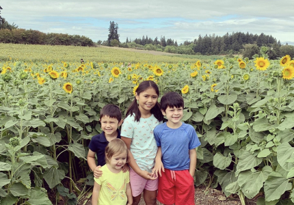 Four young siblings standing in a field of sunflowers on a cloudy day.