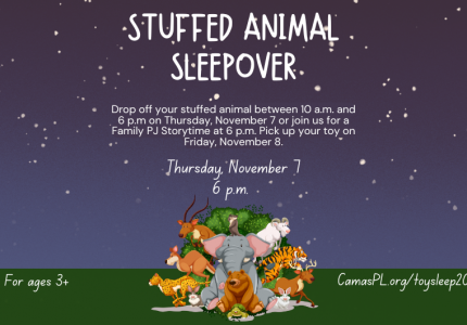 Stuffed Animal Sleepover
