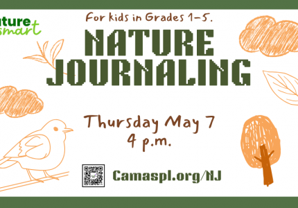 Nature Journaling