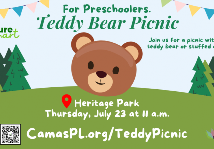 Teddy Bear Picnic