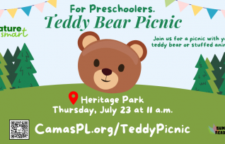 Teddy Bear Picnic