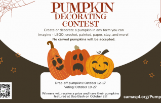 Create or decorate a pumpkin in any form you can imagine - LEGO, crochet, painted, paper, clay, and more!