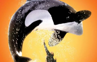 FREE WILLY