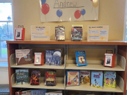 Bookshelves with books on display