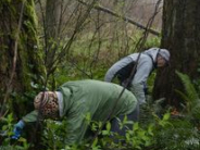 Ivy League Volunteers