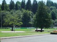 Parking lot, field, and trees