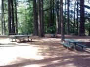 Fallen Leaf Benches