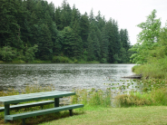 Fallen Leaf Lake Park