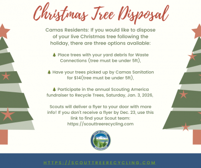 Live Christmas Tree Disposal Options 