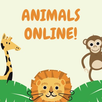 animals online