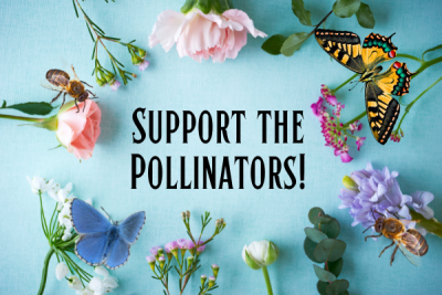 Support our pollinators