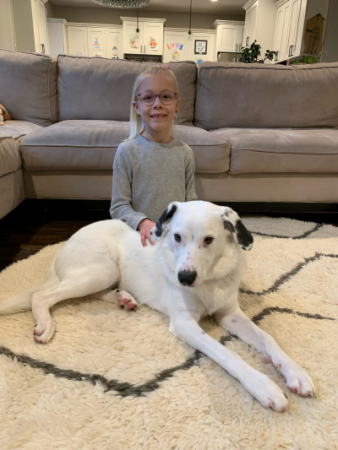 Adeline sitting in front of a gray couch next to a white dog.
