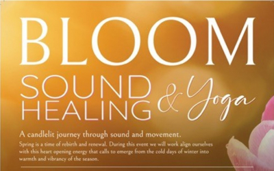 Bloom Soul Healing