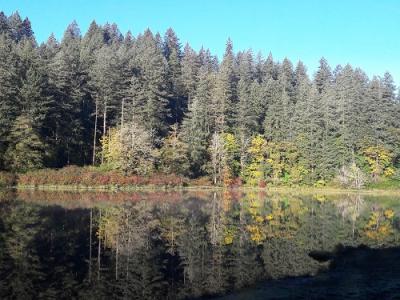 Fallen Leaf Lake