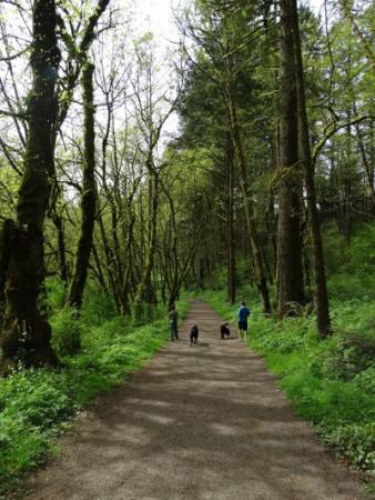 Lacamas Creek Trail