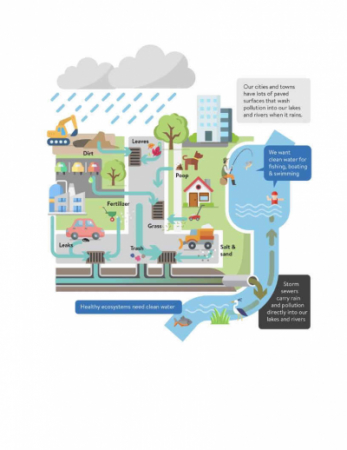 Stormwater Watershed