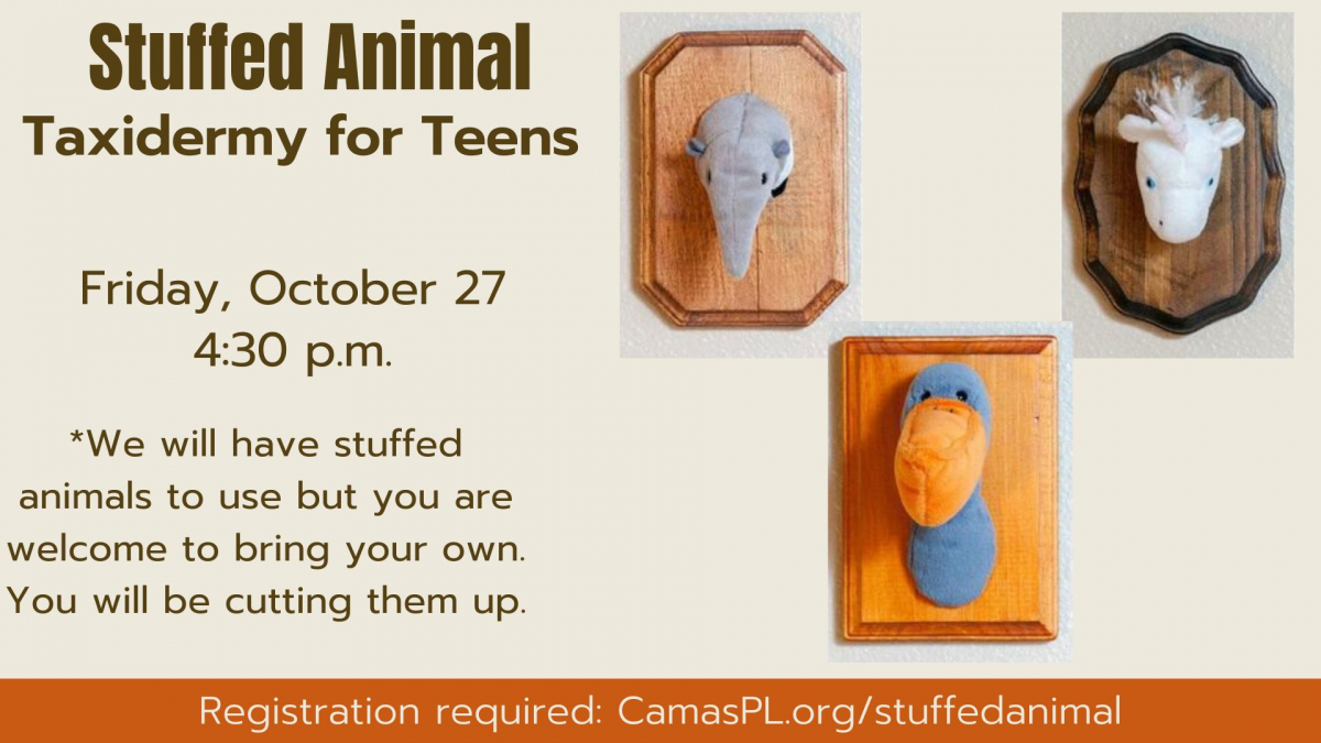 Stuffed Animal Taxidermy for Teens