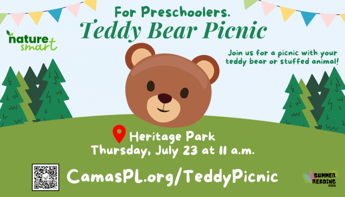 Teddy Bear Picnic For Preschoolers