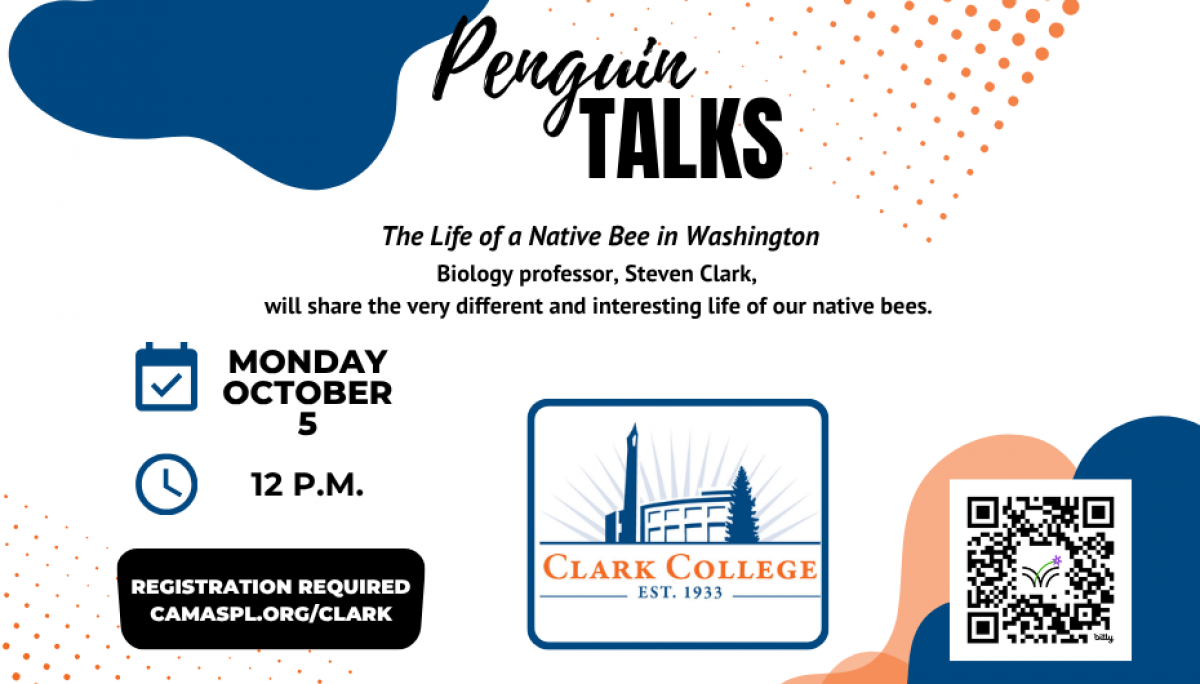 Penguin Talks - The Life of a Native Bee in Washington Washington is home to MANY species of bees. But we don't see them after September, so where are they?