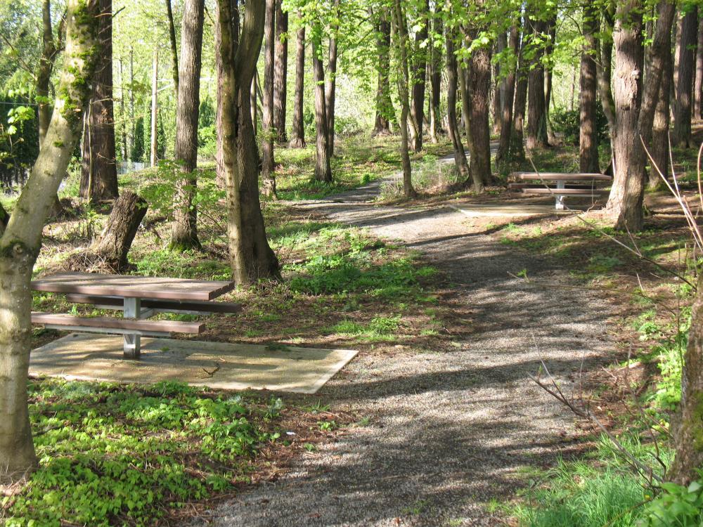 Benton Park Camas WA