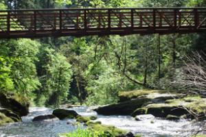 Bridge over creek