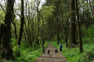 Lacamas Creek Trail