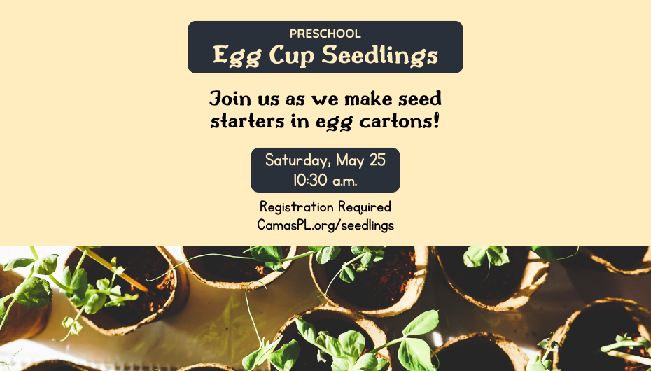 Preschool Egg Cup Seedlings