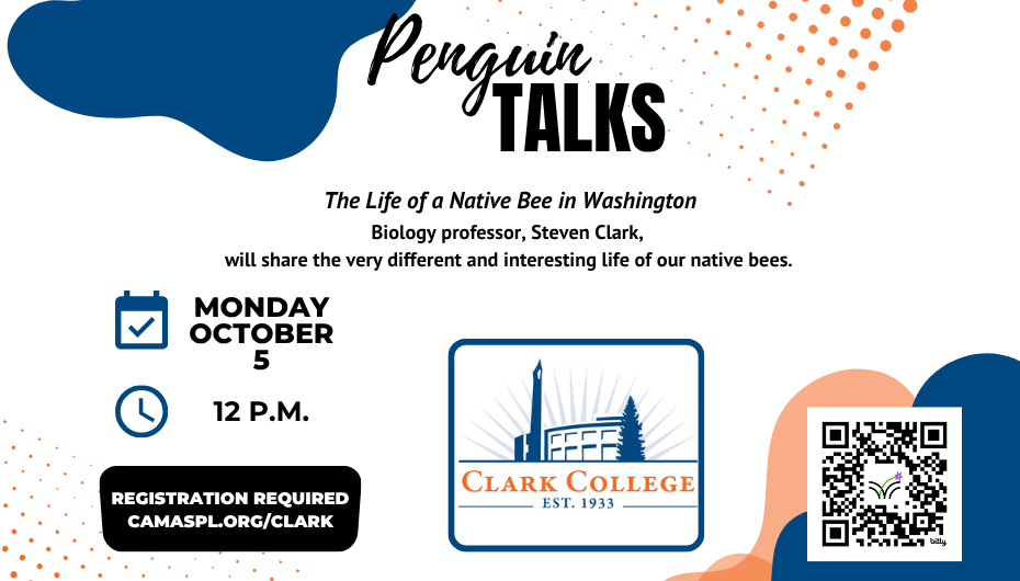 Penguin Talks - The Life of a Native Bee in Washington Washington is home to MANY species of bees. But we don't see them after September, so where are they?
